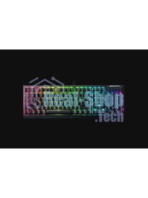 Клавиатура Razer BlackWidow V4 X Green Switch проводная, USB Type-A, чёрный (РУ раскладка)