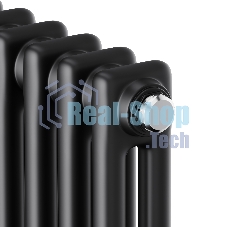 Дизайн-радиатор Royal Thermo Insignia C2180 - 10 секц. RAL9005m