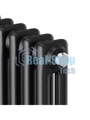 Дизайн-радиатор Royal Thermo Insignia C2180 - 10 секц. RAL9005m