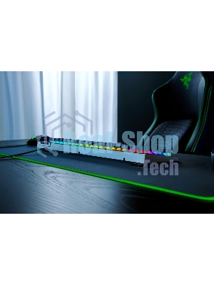 Клавиатура Razer BlackWidow V4 X Green Switch проводная, USB Type-A, чёрный (РУ раскладка)