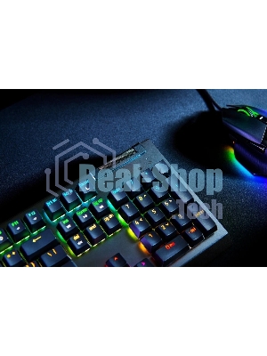 Клавиатура Razer BlackWidow V4 X Green Switch проводная, USB Type-A, чёрный (РУ раскладка)