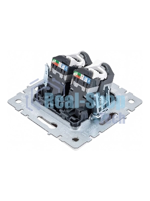 Розетка компьютерная двойная IEK BRITE РК10-2-БрБ RJ45 кат.5E белый