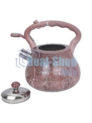 Чайник для плиты ALBERG AL-3069