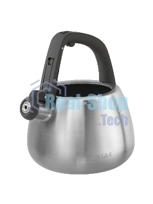 Чайник для плиты TALLER TR-11372 Рейнард 2,2 л