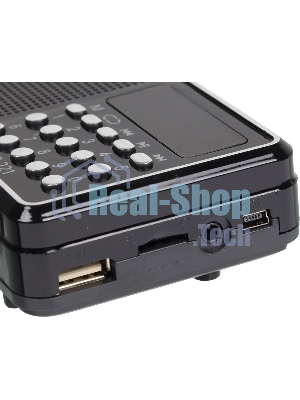 Радиоприемник Сигнал РП-221, USB, SD, дисплей