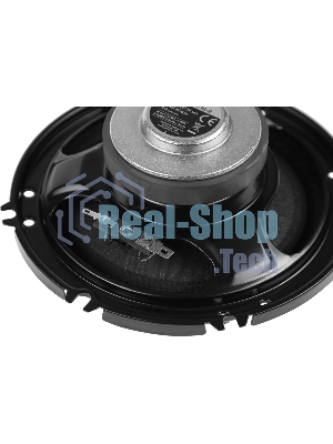 Колонки автомобильные Pioneer TS-R1651S-2 (без решетки) 300Вт 90дБ 4Ом 14.24см (6дюйм) (ком.:2кол.) коаксиальные трехполосные