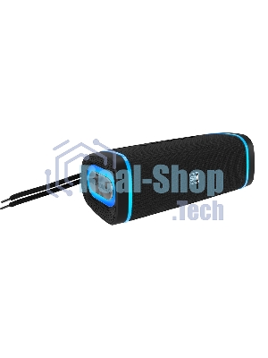 Портативная колонка SOUNDMAX SM-PS5019B черный