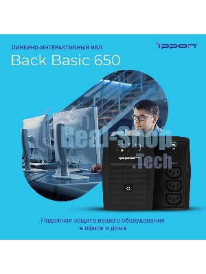 Источник бесперебойного питания Ippon Back Basic 650 337477