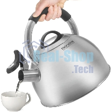 Чайник металлический Rondell Craft RDS-1951 2.5 л. стальной