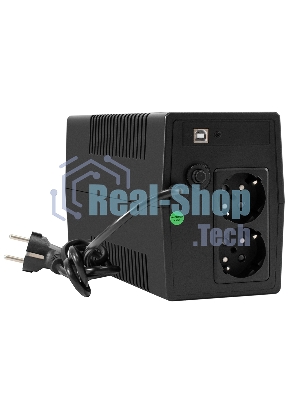 Источник бесперебойного питания ExeGate Power NB-500.LED.AVR.2SH.USB (500VA/300W, LED, AVR, 2*Schuko, USB, батарея 12V 4.5Ah, Black)