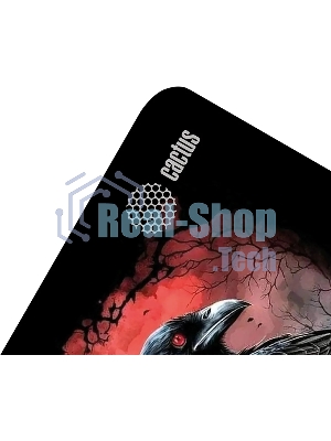 Коврик для мыши Cactus Raven 250x200x3мм (CS-MP-D14S)