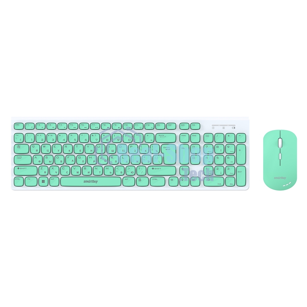 Комплект клавиатура+мышь Smartbuy (SBC-250288AG-WG) ONE 250288AG бело-зеленый