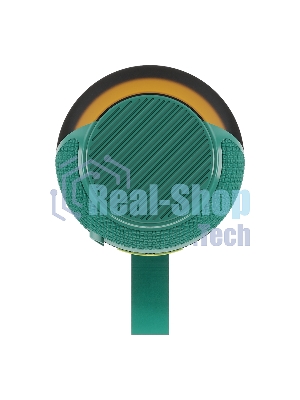 Портативная колонка Soundmax SM-PS5023B зеленый