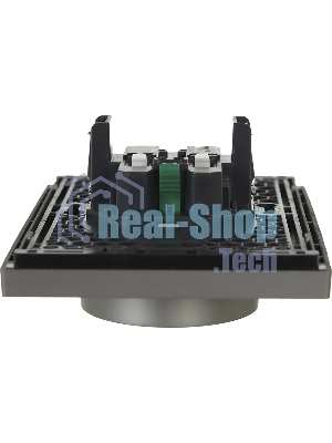 Розетка IEK FORTE&PIANO FP523 2-местная с заземлением с защитными шторками безвинтовое крепление 16А сталь