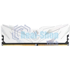 Оперативная память Netac Shadow II, DDR5, 16Gb (1x16 GB), 6000 MHz, CL38, DIMM, радиатор, белый