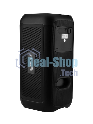 Колонка Eltronic 30-86 DANCE BOX 900 черный