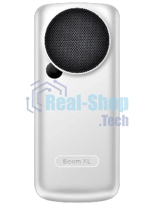 Мобильный телефон BQ 2810 BOOM XL серебристый