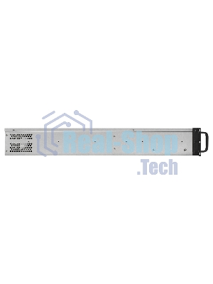 Серверный корпус ExeGate Pro 2U650-06/2U2098L (RM 19