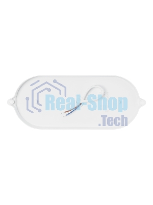 Светильник Smartbuy (SBL-BT22-40) овал 22Вт/4000K/IP65 (SBL-BT22-40)