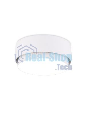 Светильник накладной G102 WH белый GX53 D82*25