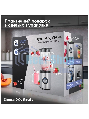 Блендер стационарный Zigmund & Shtain BS-481 D 1200 Вт, металлик
