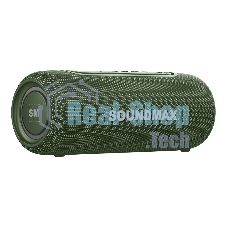 Портативная колонка Soundmax SM-PS5026B зеленый