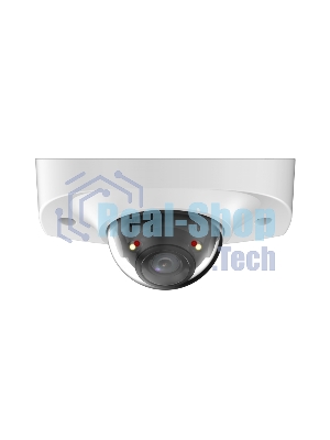 Уличная мини-купольная IP-видеокамера Dahua DH-IPC-HDBW2449FP-AS-IL-0360B Smart Dual Light с ИИ 4Мп, 1/2.9” CMOS, объектив 3.6мм, видеоаналитика, ИК до 30м, LED до 30м, IP67, корпус: металл