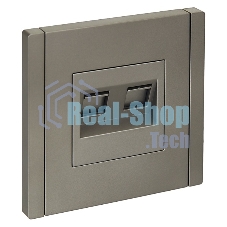 Розетка компьютерная IEK FORTE&PIANO FP533 2-ая RJ45 кат.5E сталь