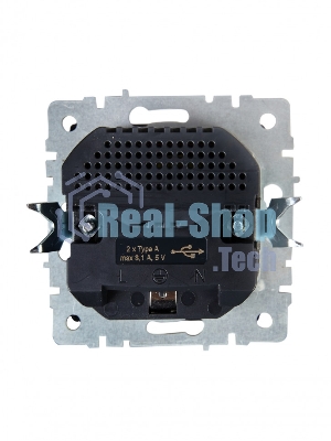 Розетка 1-местная IEK BRITE РЮш10-2-БрА (BR-R14-16-U21-D31-K47) с заземлением, с защитными шторками, 16А, с USB A+A 5В 3,1А, алюминий