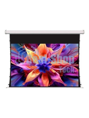 Экран для проектора S'OK SCPSMT-221x125ED30-GR 100 