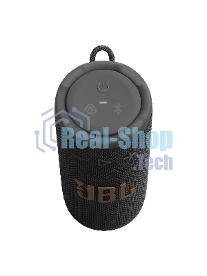 Портативная акустика JBLGRIPBLK черный