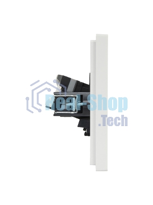 Розетка компьютерная 2-ая RJ45 кат.5E IEK FORTE&PIANO FP233 белый