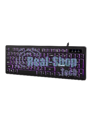 Клавиатура SMARTBUY (SBK336UK) 336 USB