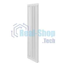 Дизайн-радиатор Royal Thermo Insignia VC3180 - 10 секц. RAL9016