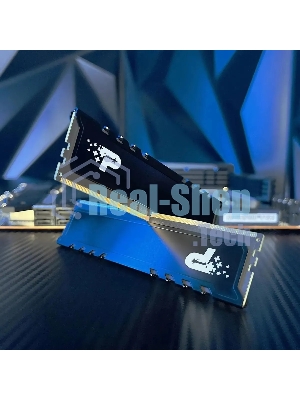 Оперативная память Patriot Signature Premium, DDR5, 16Gb (1x16 GB), 5600 MHz, CL46, DIMM, радиатор, черный