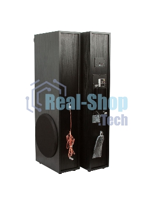 Колонка Eltronic 10