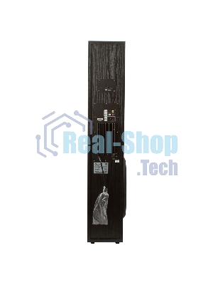 Колонка Eltronic 10