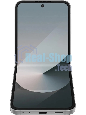 Смартфон Samsung Galaxy Z Flip6 5G SM-F741B, 12/512Gb, серый