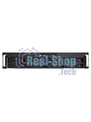 Серверная платформа ExeGate Pro 2U550-HS08 RM 19