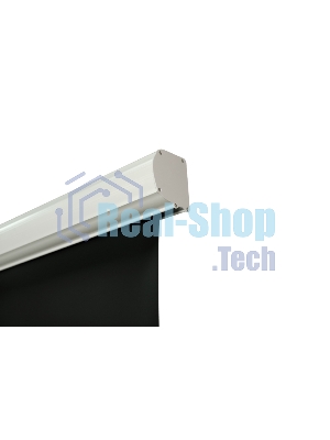 Экран с электроприводом Lumien Master Business Control LMBC-100109 275х412 см, (раб.область 240х384 см) (178
