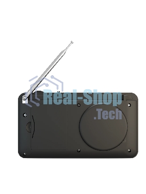 Радиоприемник SOUNDMAX SM-RD2116 черный