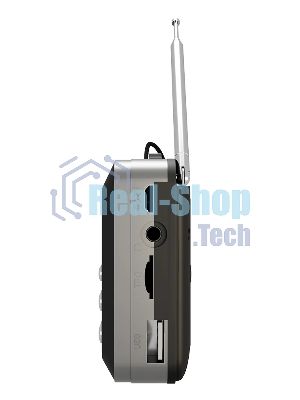 Радиоприемник SOUNDMAX SM-RD2116 черный