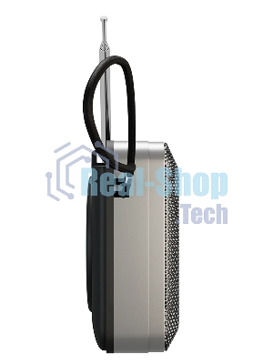 Радиоприемник SOUNDMAX SM-RD2116 черный