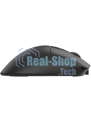 Мышь беспроводная A4Tech Bloody R73 Ultra черный оптическая 20000dpi беспров. USB-C 7but (R73 ULTRA BLACK)
