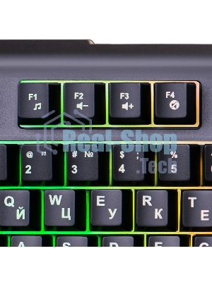 Клавиатура Oklick 717G Black Death проводная, USB Type-A, чёрный/серый