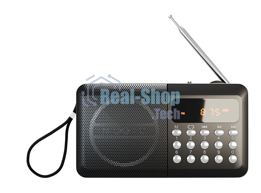 Радиоприемник SOUNDMAX SM-RD2116 черный