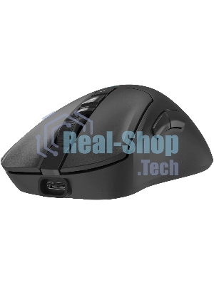 Мышь беспроводная A4Tech Bloody R73 Ultra черный оптическая 20000dpi беспров. USB-C 7but (R73 ULTRA BLACK)