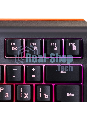 Клавиатура Oklick 717G Black Death проводная, USB Type-A, чёрный/серый