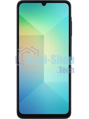 Смартфон Samsung Galaxy A06 SM-A065F 4/64Gb, черный