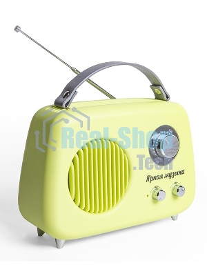 Радиоприемник СИГНАЛ БЗРП Fresh РП-343 зеленый, УКВ 87,5-108МГц, DC5В,акб,BT/USB/AUX 10125